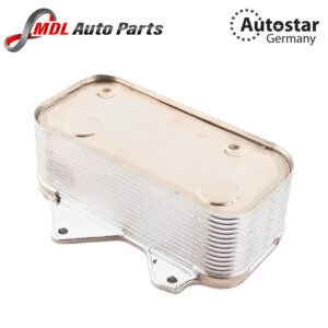 Autostar Germany ENGINE OIL COOLER For AUDI A6 A8 Volkswagen Phaeton (3D1, 3D2, 3D3, 3D4, 3D6, 3D7, 3D8, 3D9) 077117021Q