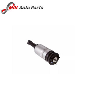 BWI Front Shock Absorber Strut LR032646