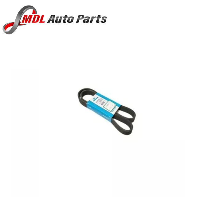 Dayco Secondary Belt Pqs500241 1 Dayco Secondary Belt PQS500241