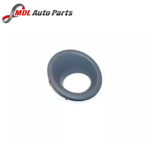 Eurospares  Fog Light Bezel Surround LR004164