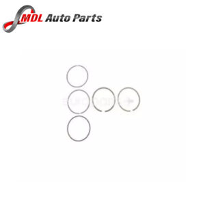 Eurospares Piston Ring Set 1357861