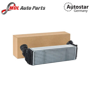 AutoStar Germany RADIATOR INTERCOOLER X5 X6 E71 E72 F16 F85 F86 17517533475