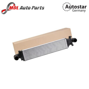 AutoStar Germany RADIATOR INTERCOOLER W176 W246 C117 2465000100