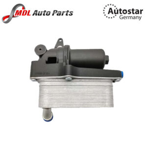 AutoStar Germany TRANSMISSION OIL COOLER WITH HOUSING COMPLETE C250 G250 2465010101