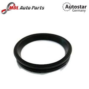Autostar Germany Timing Cover Gasket 06K103583