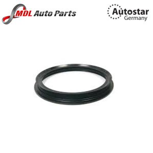 autostar germany Fuel Pump Gasket 16141182905