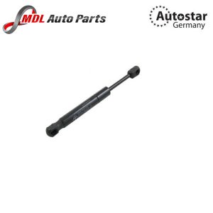 FEBI Gas Spring - 29268 95551252800