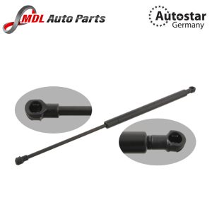 53440-0W101  GAS SPRING SHOCK ABS     LEXUS IS250 2006-2015   IS300   FRONT