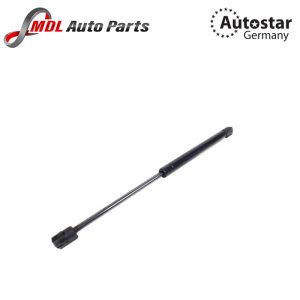 53440-39175  GAS SPRING SHOCK ABS     LEXUS GS300    1998-2005  FRONT