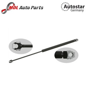 FEBI Gas Spring - 01784 51238119558