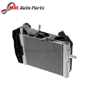 EUROSPARE RADIATOR LR011466