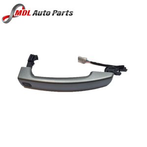 EUROSPARE HANDLE LR020810