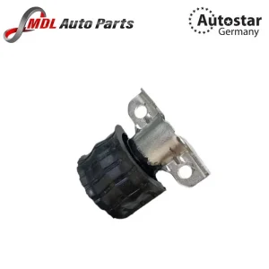 Autostar Germany BUSH 2513230685