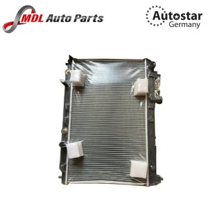 AUTOSTAR 19000REA901 RADIATOR FIT1.6 GD6
