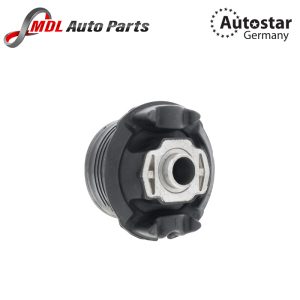 AUTOSTAR 2213511242 SUPREM MOUNTING BIG SET