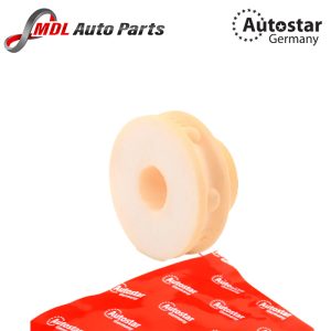 AUTOSTAR 33526771738 TOP STRUT MOUNTING REAR