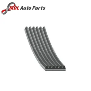 FEBI 1007485 Auxiliary Belt - 28975