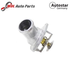 Home 7 COOLANT THERMOSTAT 1338060 FITS OPEL ASTRA