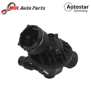 THERMOSTAT 15011500962