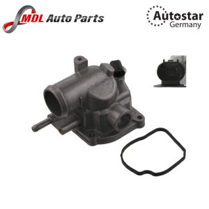 COOLANT THERMOSTAT 6112000115 6112000315