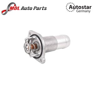 THERMOSTAT 8126223160 FOR CHEVROLET
