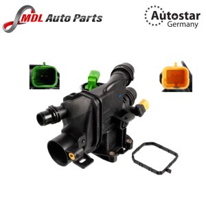 COOLANT THERMOSTAT FITS CITROEN 9807198480
