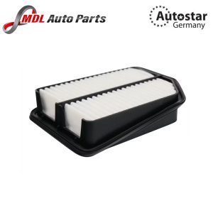 DATEX AIR FILTER 13780-65J00