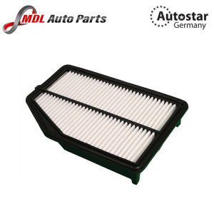 DATEX AIR FILTER 17220-5LA-A00