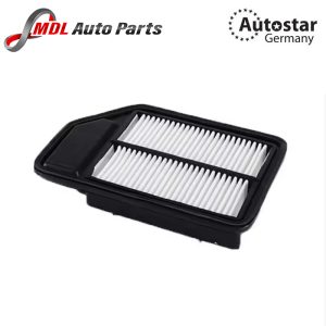 DATEX AIR FILTER 17220-REJ-W00
