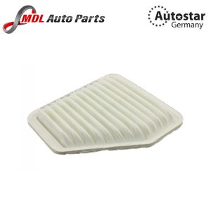 DATEX AIR FILTER 17801-31120