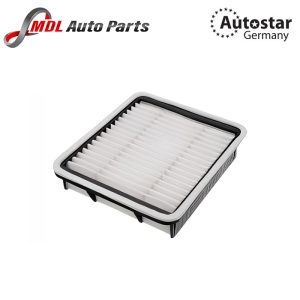 DATEX AIR FILTER 17801-46080