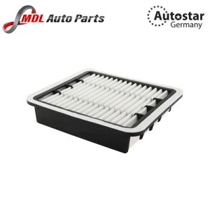 DATEX AIR FILTER 17801-50030