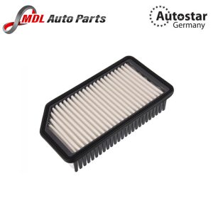 DATEX AIR FILTER 28113-1J000