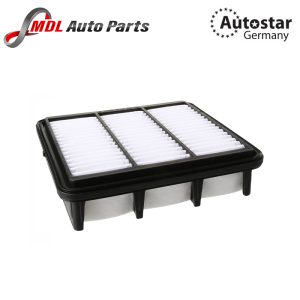 DATEX AIR FILTER 28113-2H000
