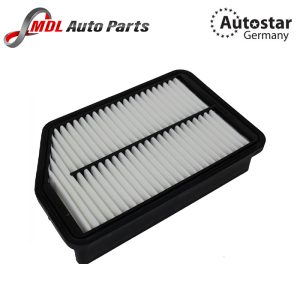 DATEX AIR FILTER 28113-2S000