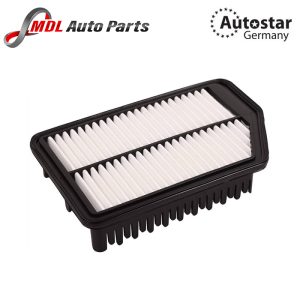 DATEX AIR FILTER 28113-3X000