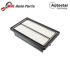DATEX AIR FILTER 28113-C8000