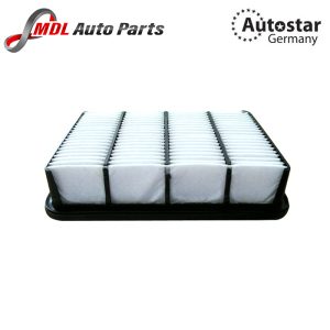 DATEX AIR FILTER MR266849